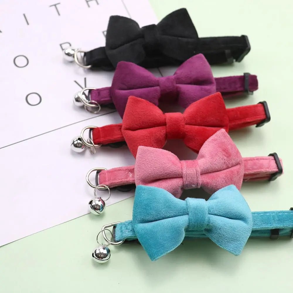Bow & Bell Pet Collar — Adjustable, Cats & Small Dogs - Leash & Lift