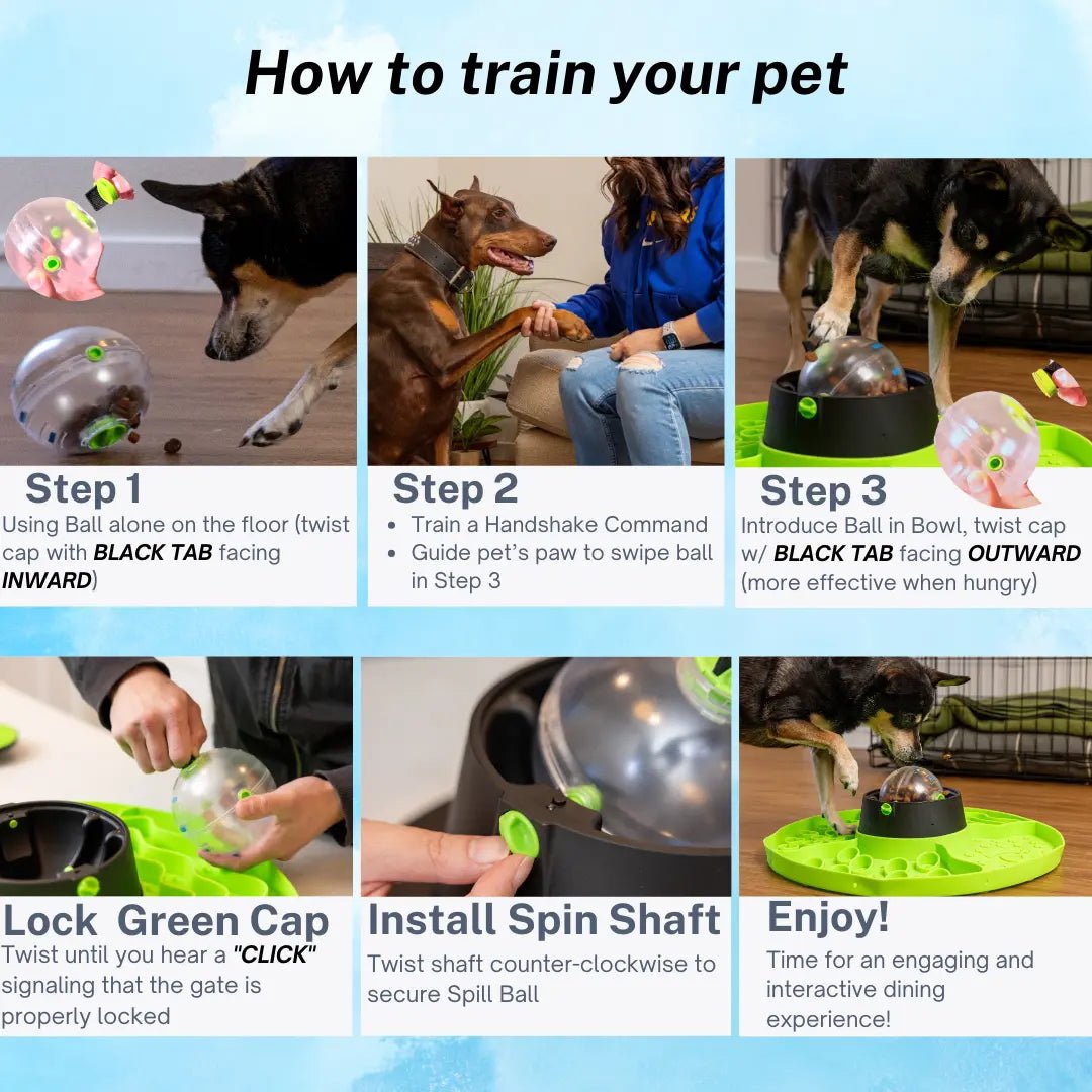 Multifunctional 8 - in - 1 Interactive Snuffle Mat and Puzzle Feeder for Dogs and Cats - Leash & Lift