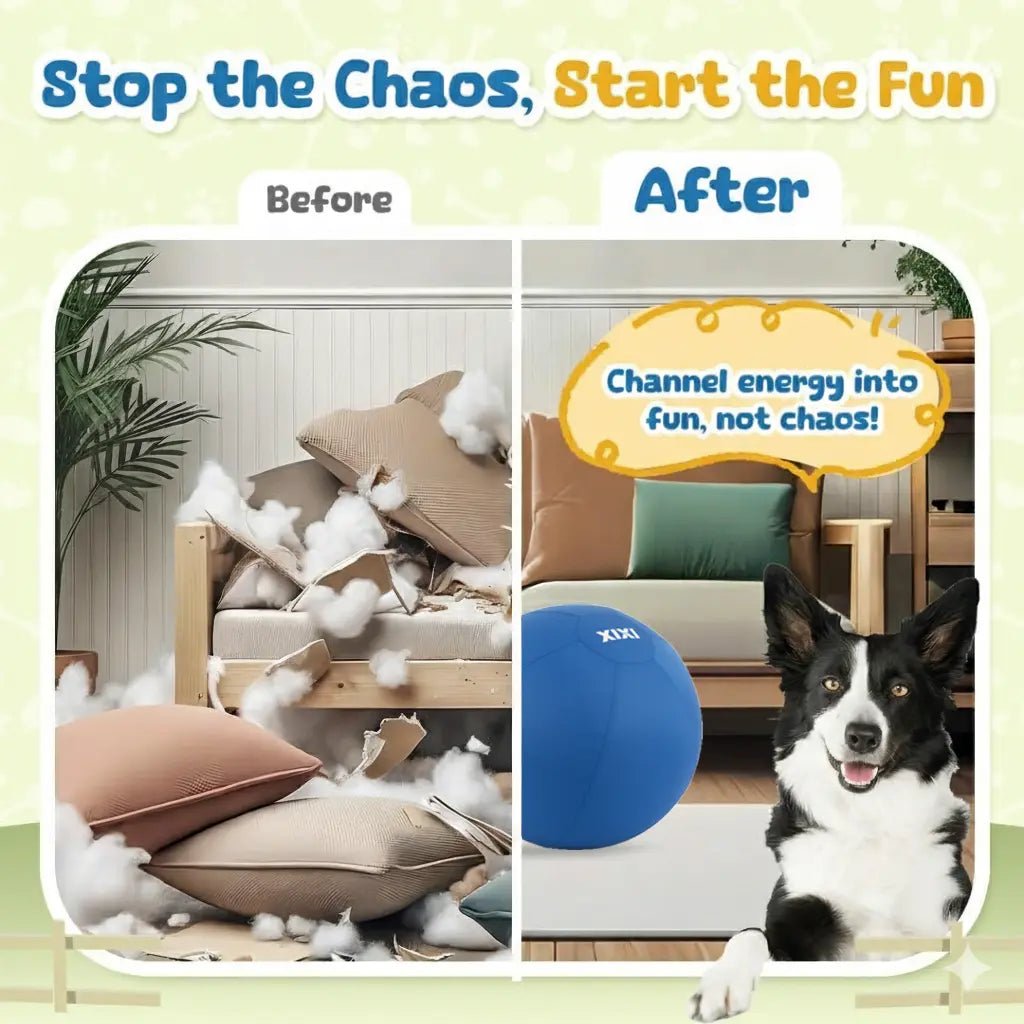 XIXI Inflatable Herding Ball for Dogs - Premium Interactive Toy for Energetic Breeds - Leash & Lift