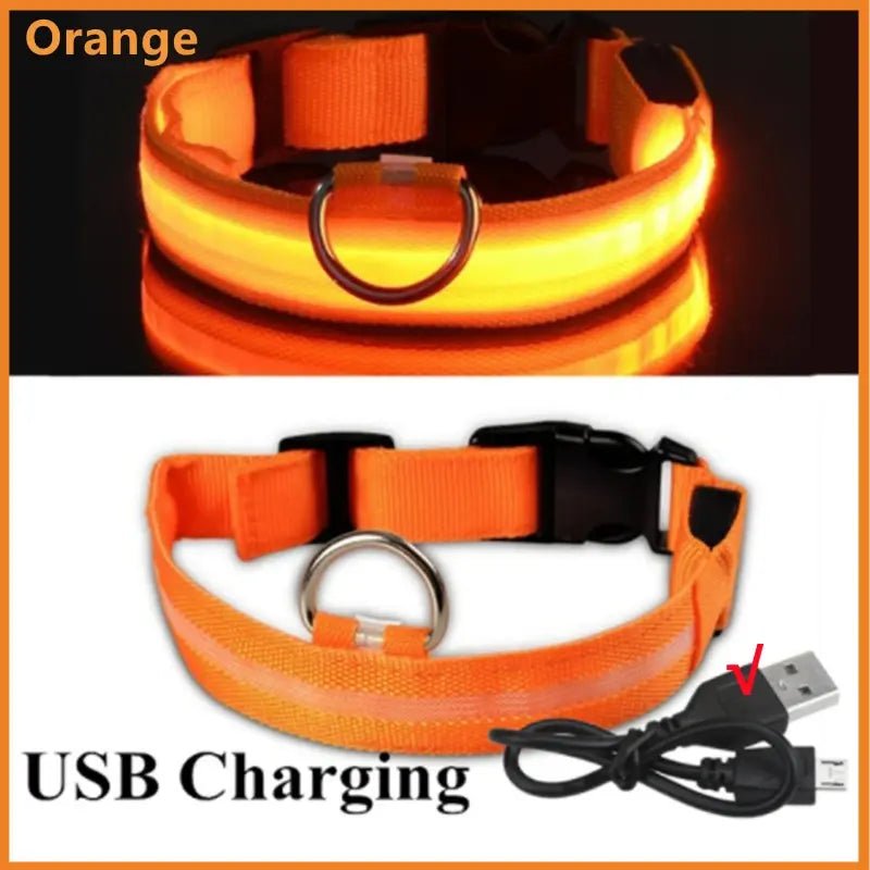 LED Safety Dog Collar - Leash & Lift