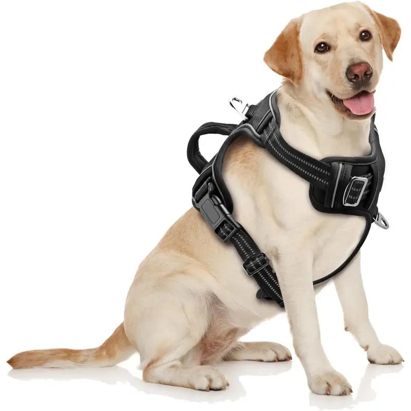 No - Pull Dog Harness — Dual Clip, Reflective, Sizes S–XL - Leash & Lift