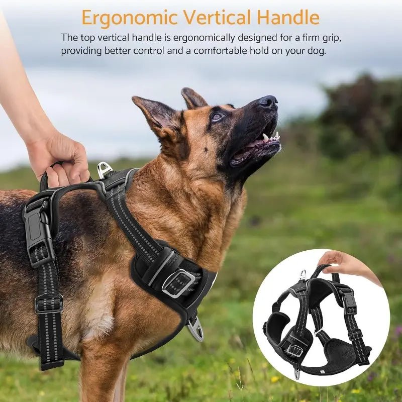 No - Pull Dog Harness — Dual Clip, Reflective, Sizes S–XL - Leash & Lift