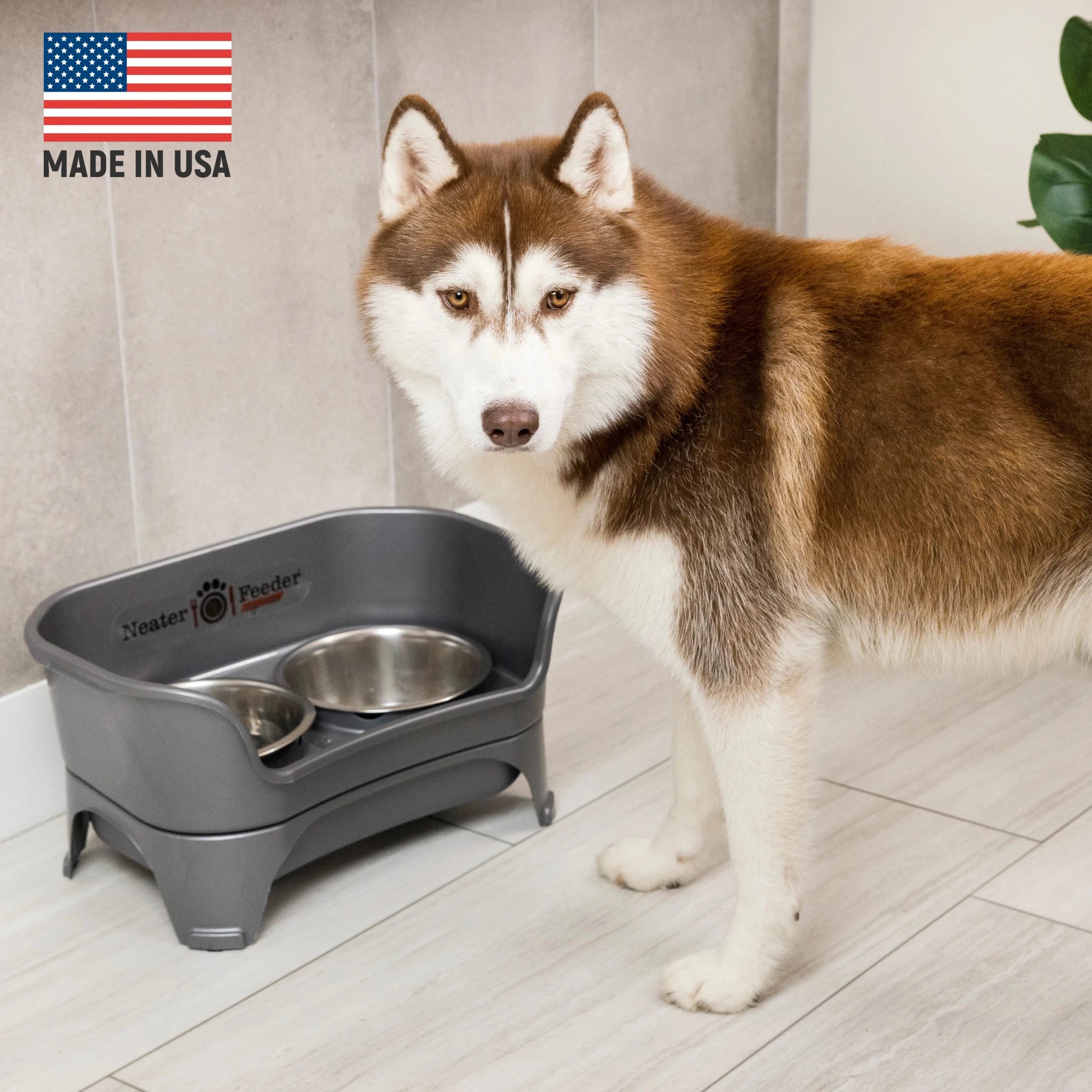 EXPRESS Neater Feeder for Dogs - Premium Elevated Feeding System with Stainless Steel Bowls and BPA - Free Construction for Effortless Clean - Up - Leash & Lift