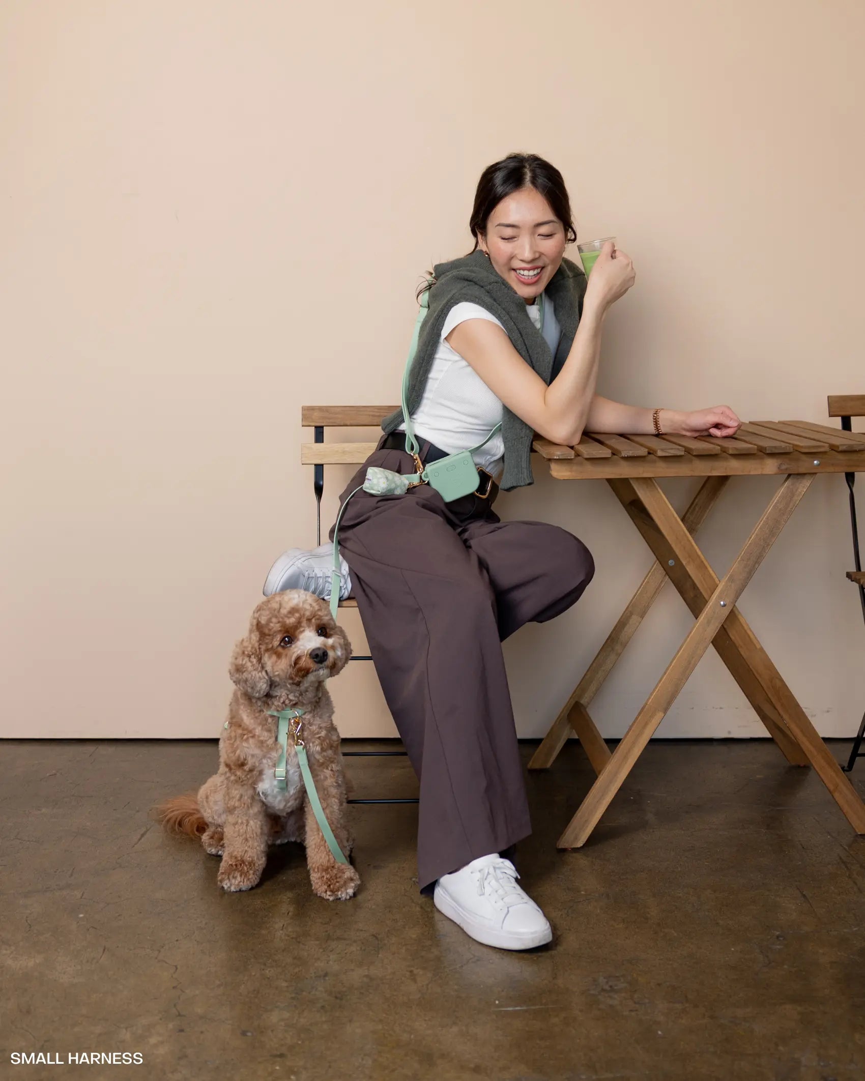 Cloud Hands - Free Dog Leash - Leash & Lift