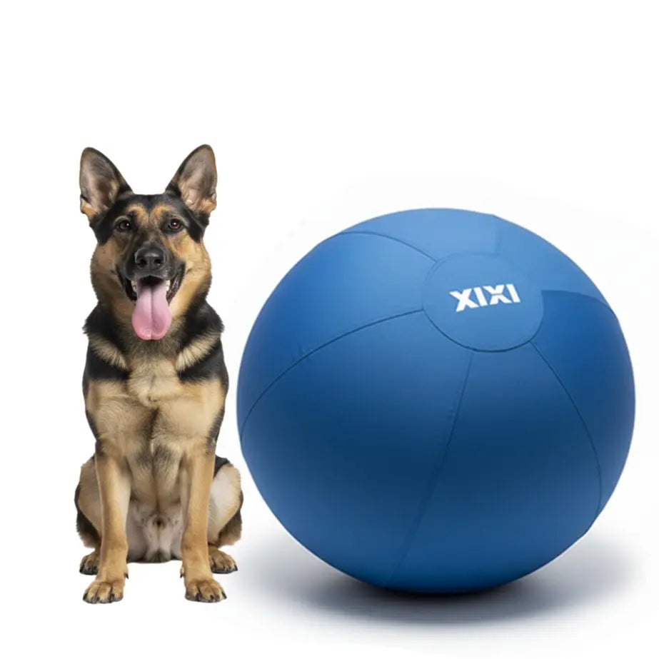 XIXI Inflatable Herding Ball for Dogs - The Ultimate Interactive Toy for High-Energy Breeds