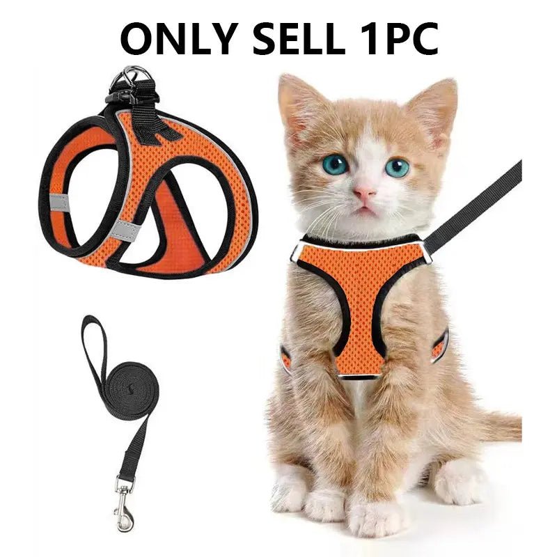 Mesh Harness & Leash Set - Leash & Lift