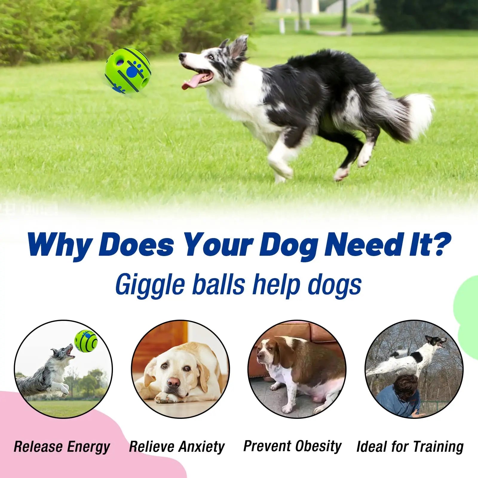 Exciting Squeaky Wag Ball for Dogs - Durable Interactive Toy for Indoor & Outdoor Fun, Perfect Gift for Pet Training and Special Occasions