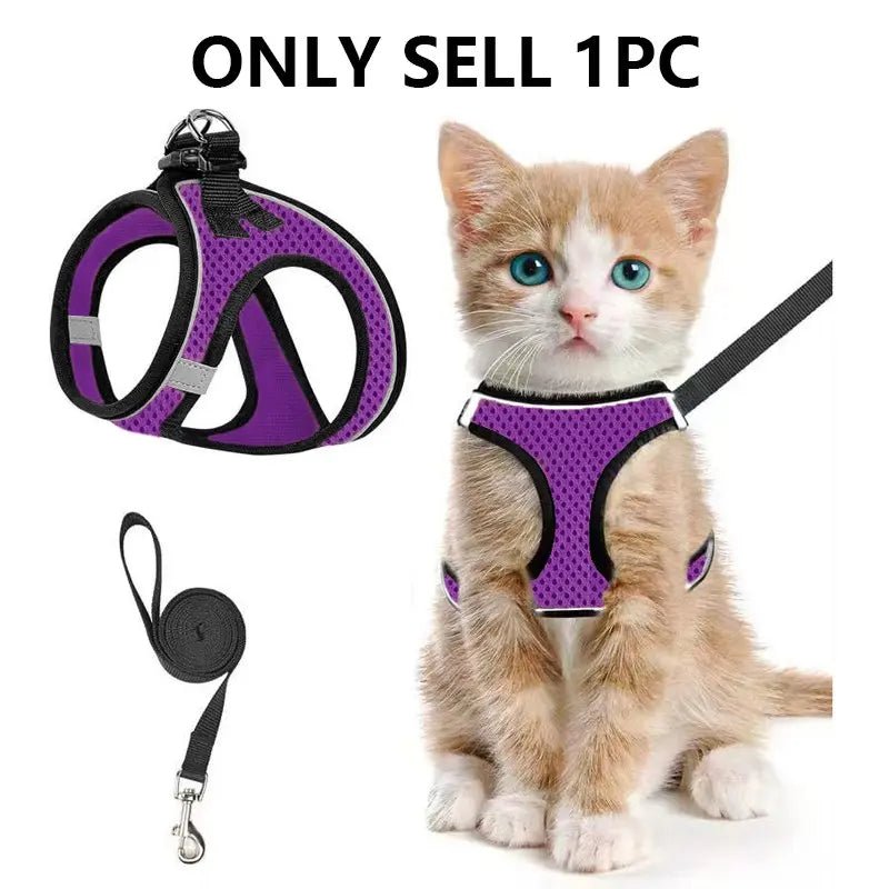 Mesh Harness & Leash Set - Leash & Lift
