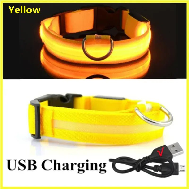 LED Safety Dog Collar - Leash & Lift