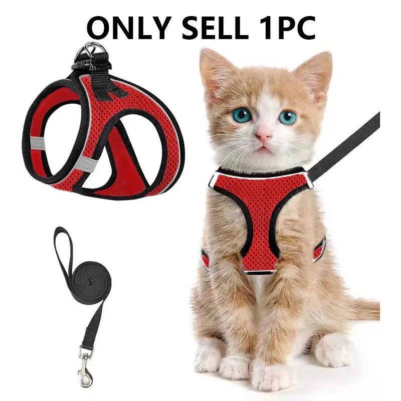 Mesh Harness & Leash Set - Leash & Lift