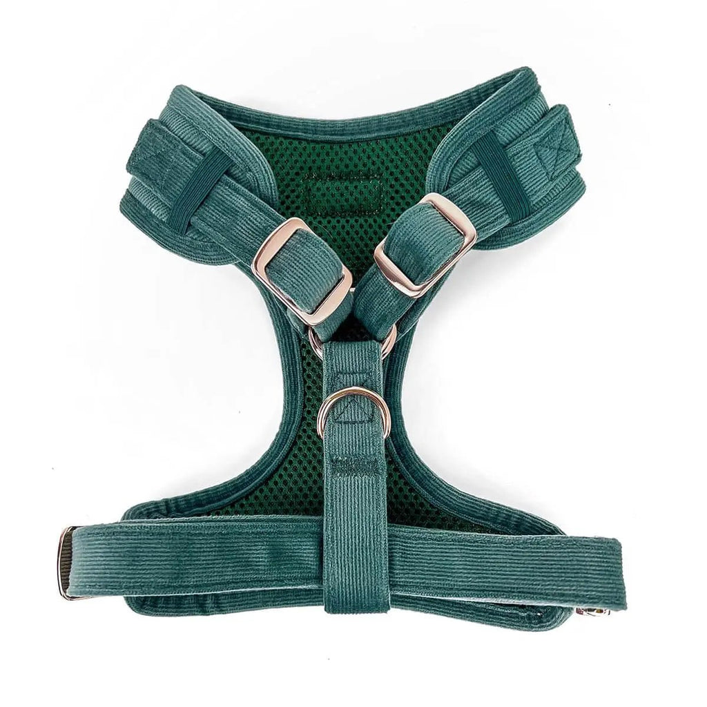 Moss Adjustable Corduroy Dog Harness - Leash & Lift