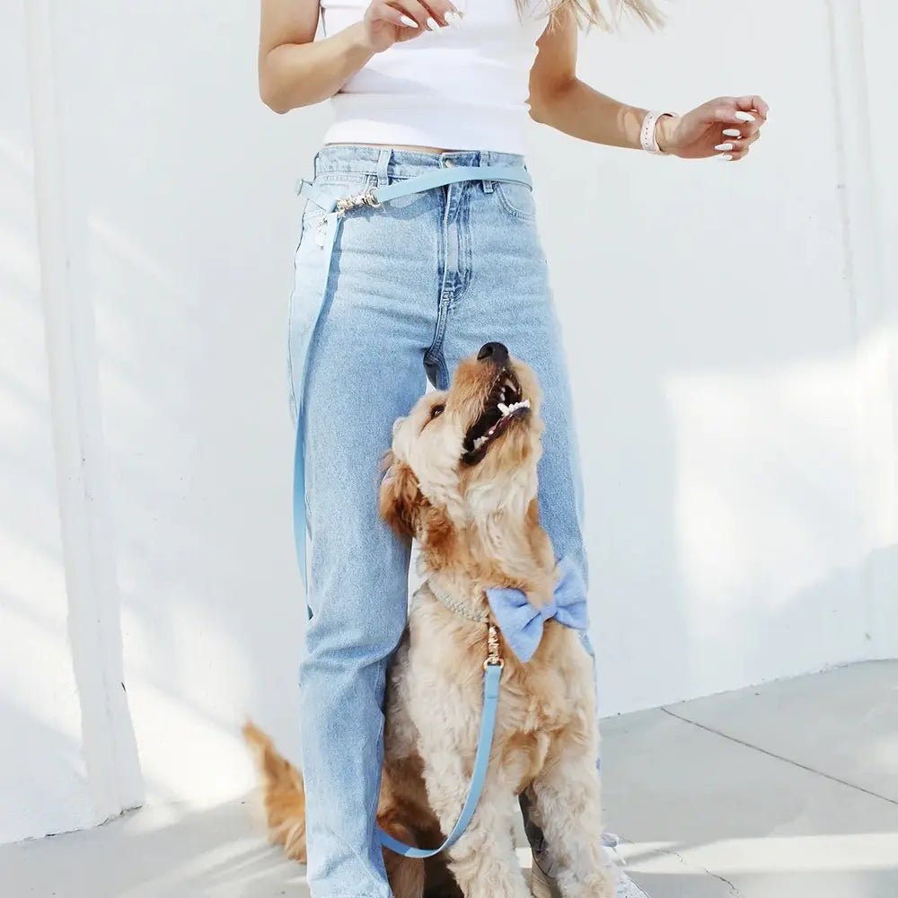Cloud Hands - Free Dog Leash - Leash & Lift