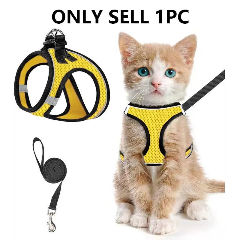 Mesh Harness & Leash Set - Leash & Lift