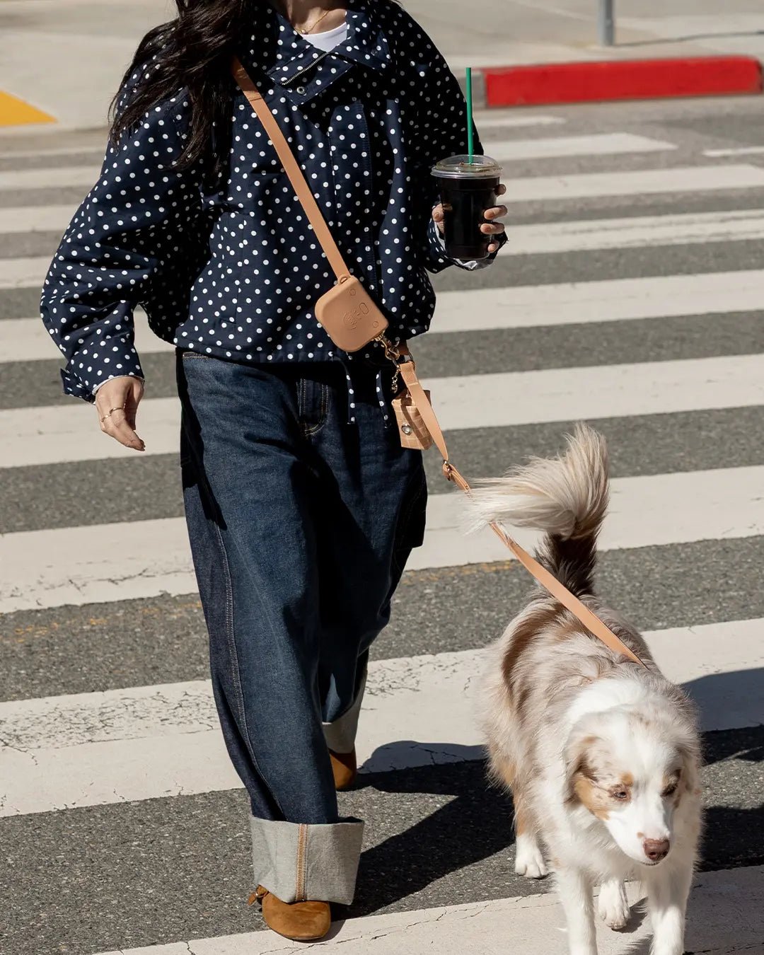 Cloud Hands - Free Dog Leash - Leash & Lift