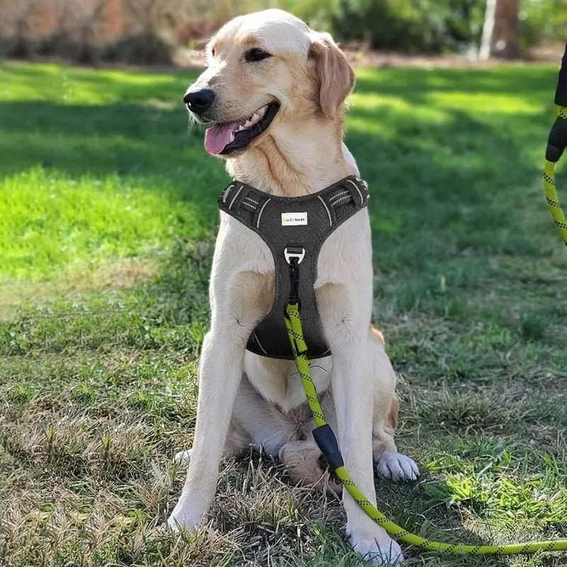 No - Pull Dog Harness — Dual Clip, Reflective, Sizes S–XL - Leash & Lift