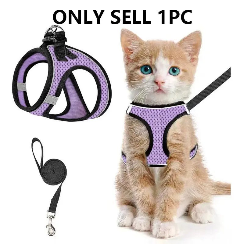 Mesh Harness & Leash Set - Leash & Lift