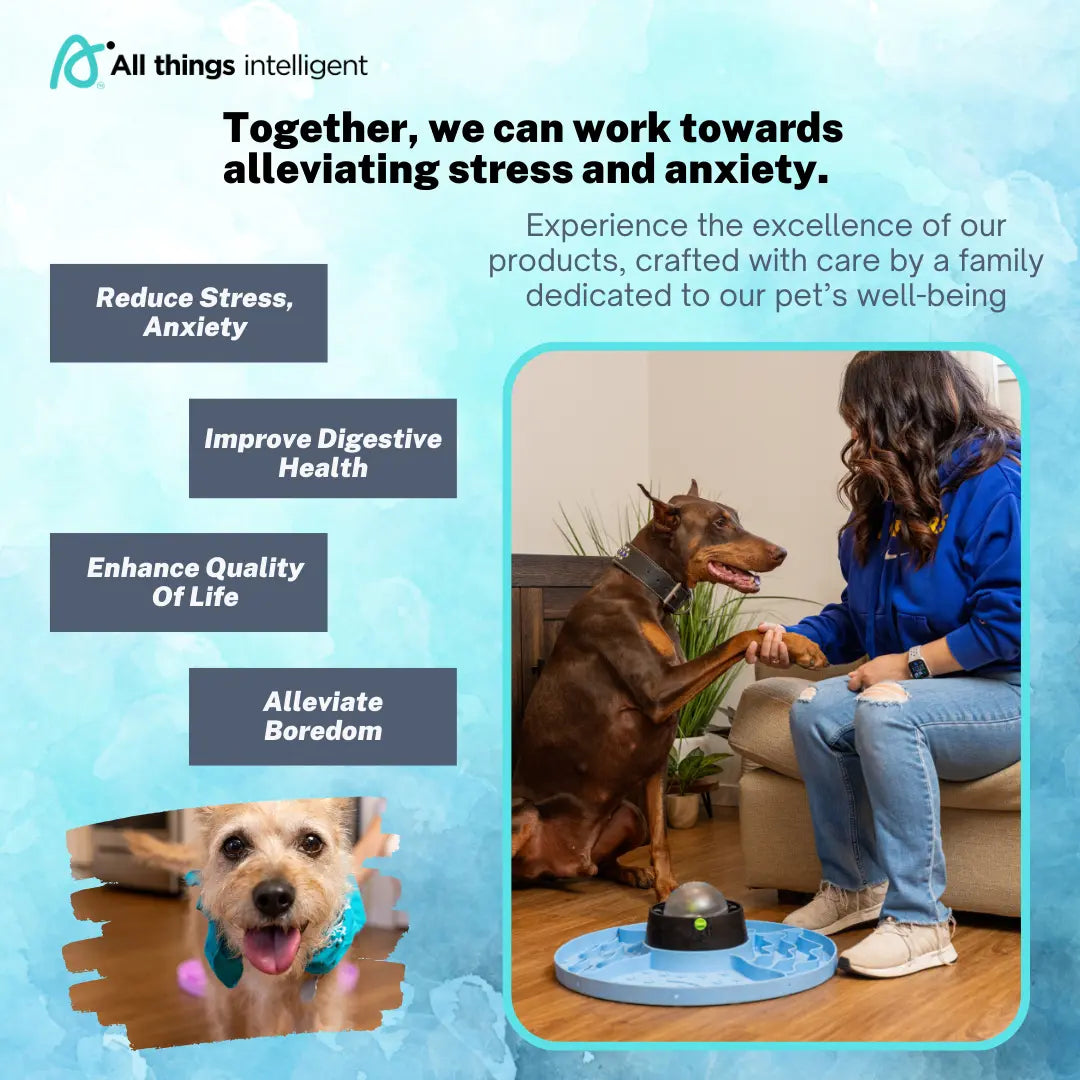 Multifunctional 8-in-1 Interactive Snuffle Mat and Puzzle Feeder for Dogs and Cats