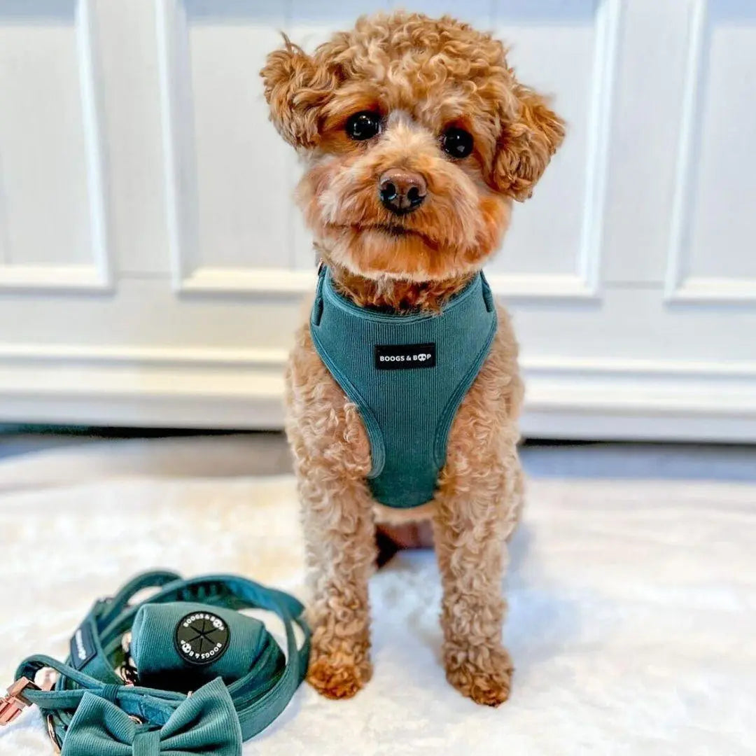 Moss Adjustable Corduroy Dog Harness