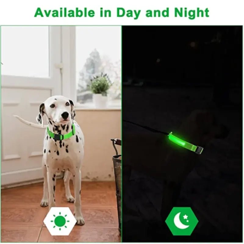 LED Safety Dog Collar - Leash & Lift
