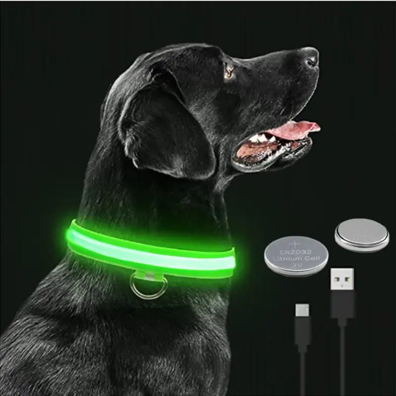 LED Safety Dog Collar - Leash & Lift