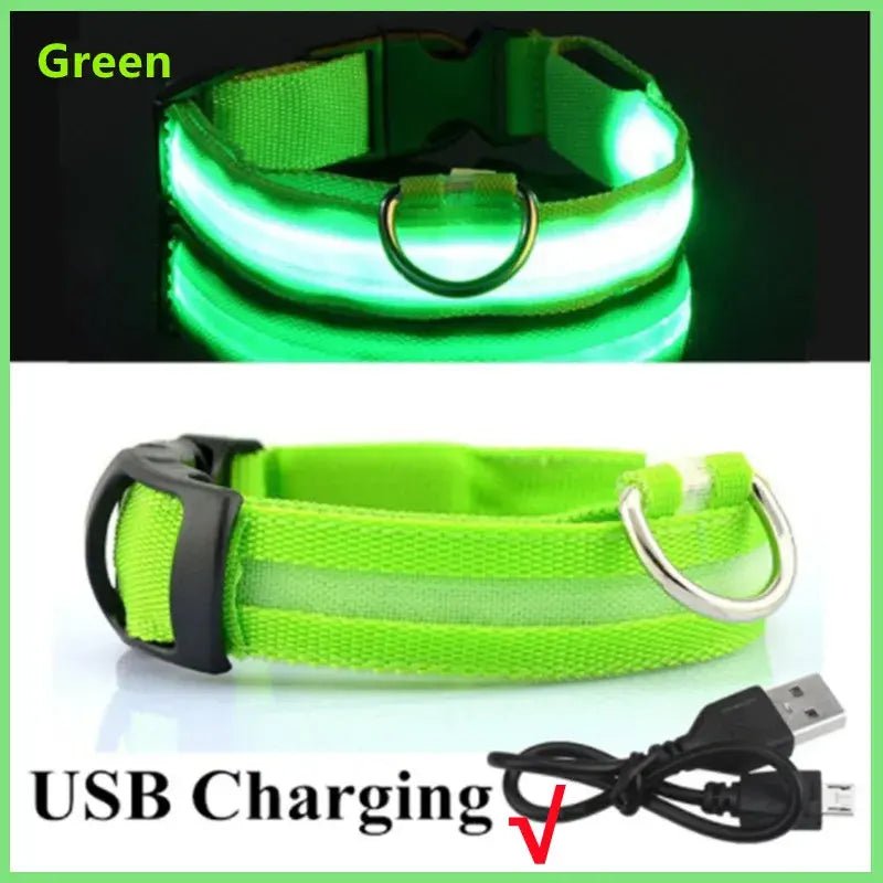 LED Safety Dog Collar - Leash & Lift
