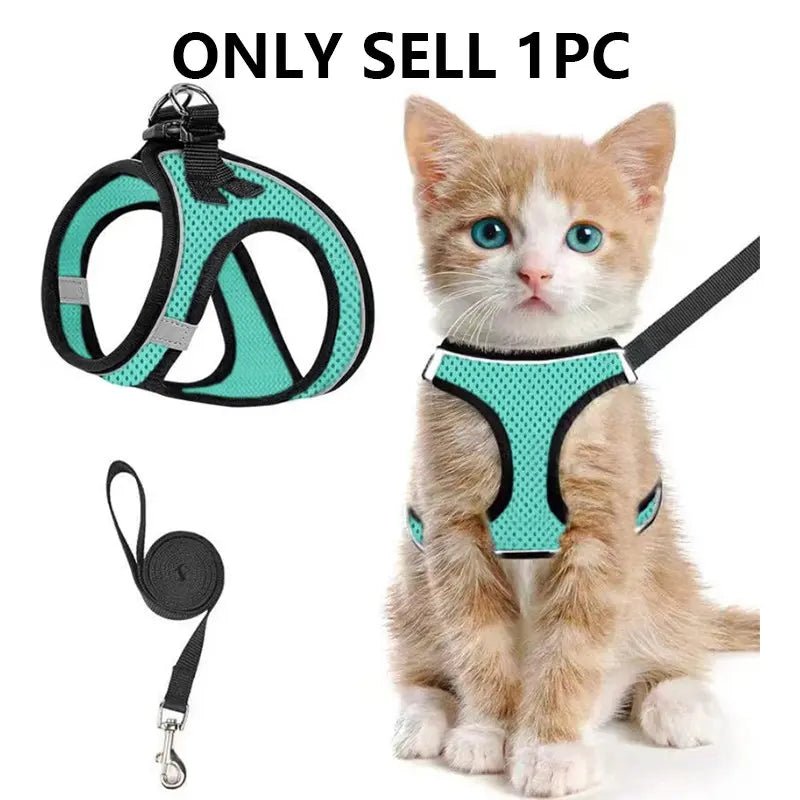 Mesh Harness & Leash Set - Leash & Lift