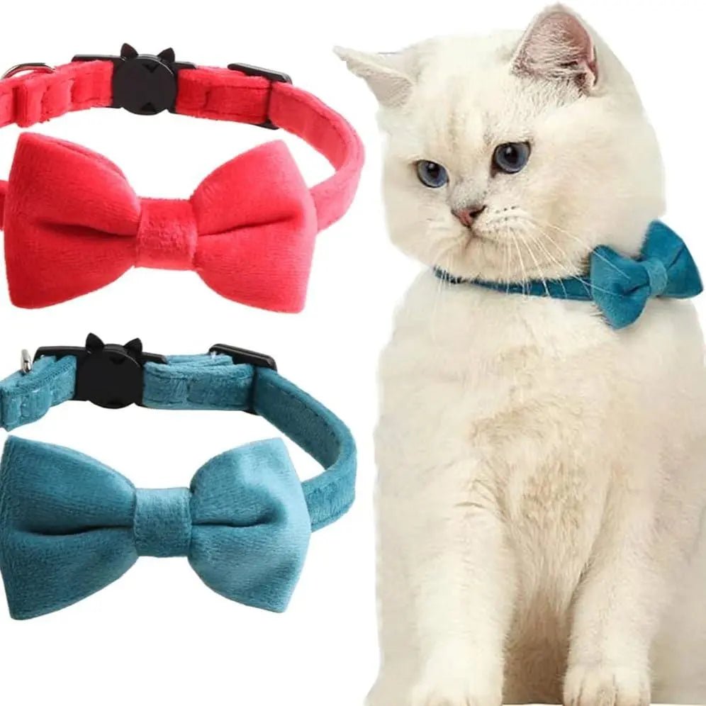 Bow & Bell Pet Collar — Adjustable, Cats & Small Dogs - Leash & Lift