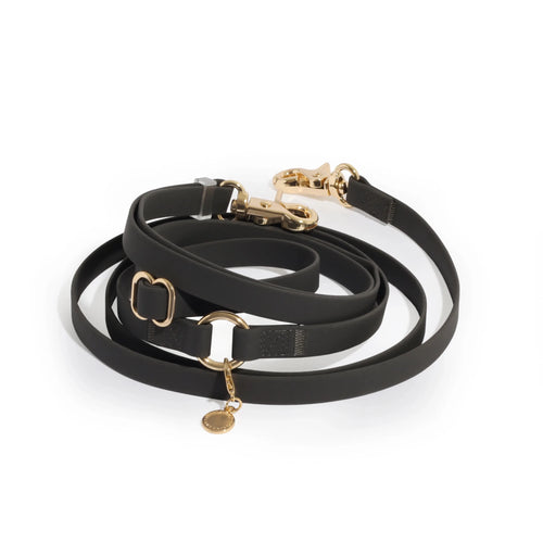Cloud Hands - Free Dog Leash - Leash & Lift