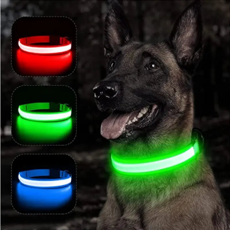 LED Safety Dog Collar - Leash & Lift