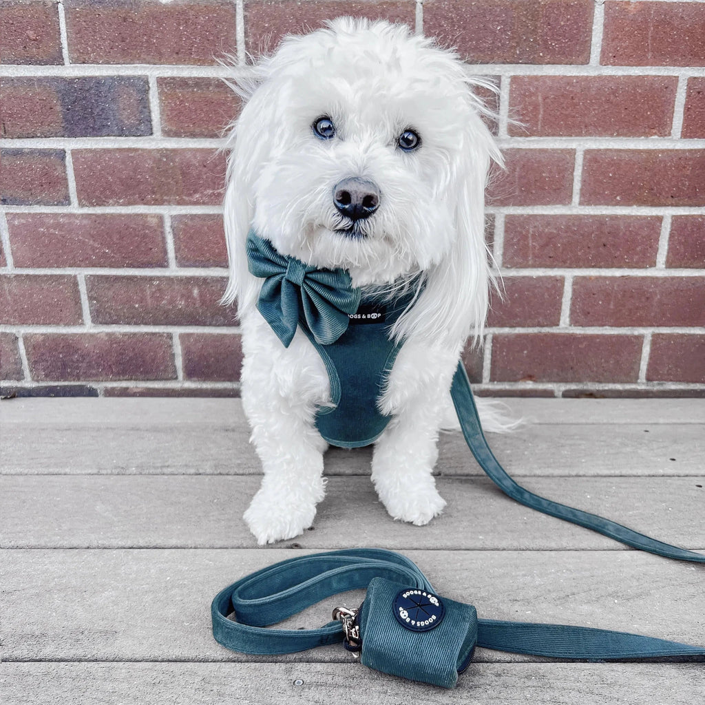Moss Adjustable Corduroy Dog Harness - Leash & Lift