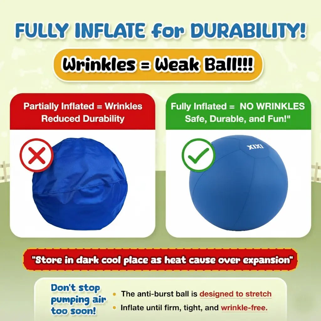 XIXI Inflatable Herding Ball for Dogs - Premium Interactive Toy for Energetic Breeds - Leash & Lift