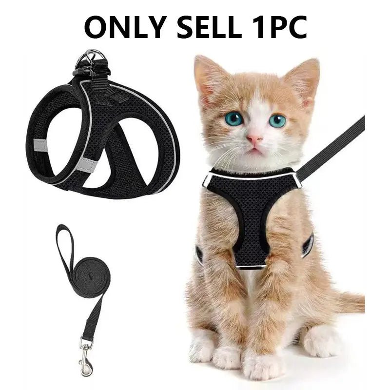 Mesh Harness & Leash Set - Leash & Lift
