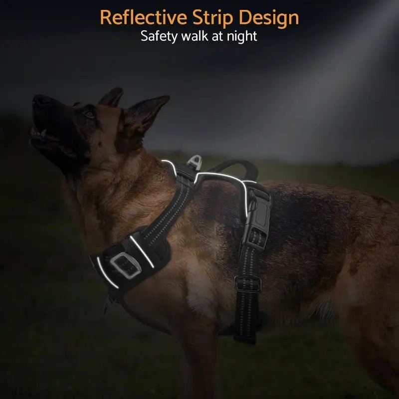 No - Pull Dog Harness — Dual Clip, Reflective, Sizes S–XL - Leash & Lift