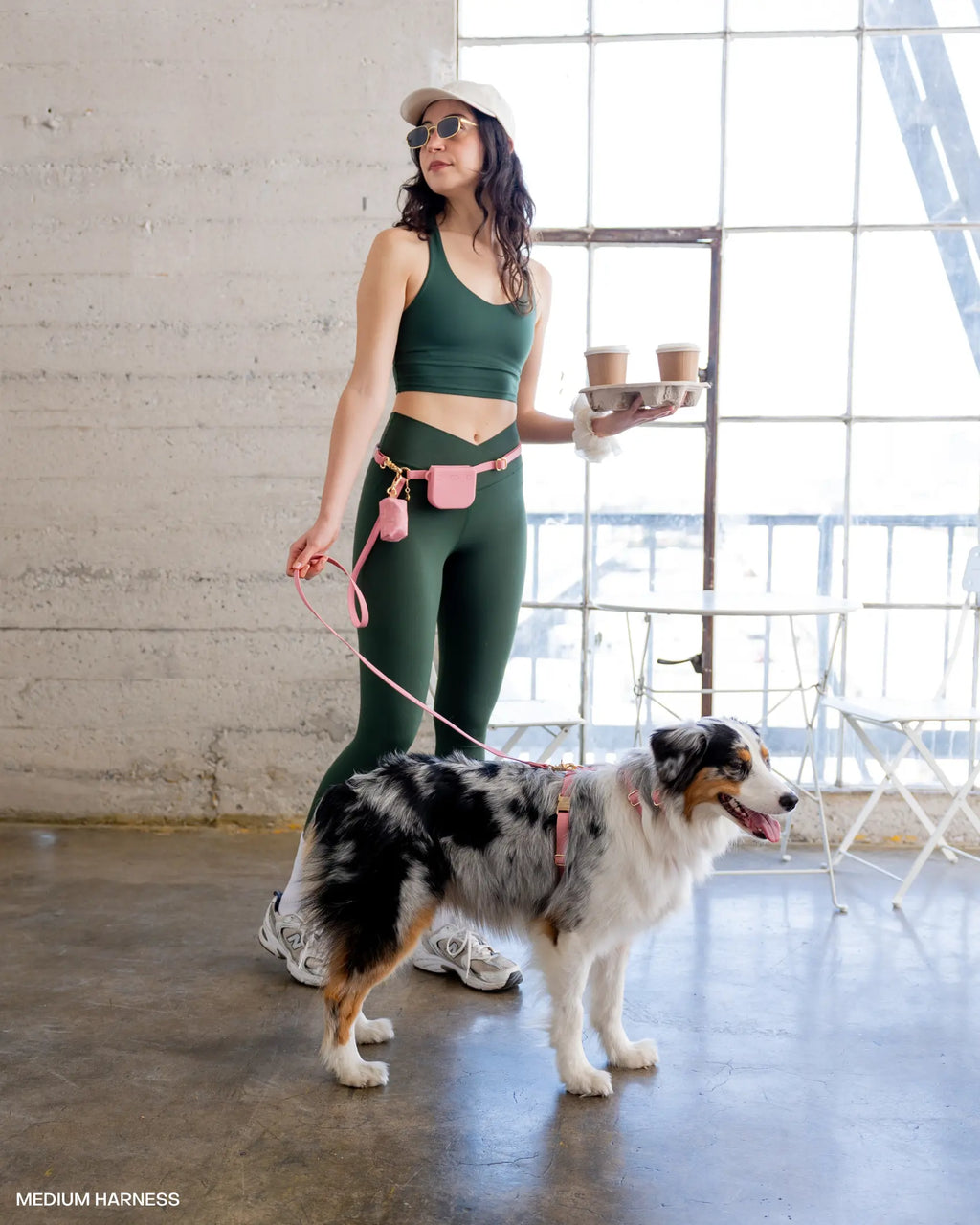 Cloud Hands - Free Dog Leash - Leash & Lift