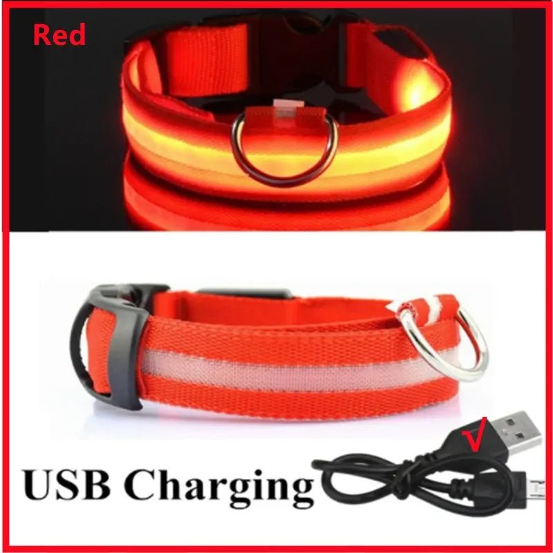 LED Safety Dog Collar - Leash & Lift