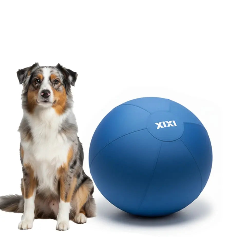 XIXI Inflatable Herding Ball for Dogs - The Ultimate Interactive Toy for High-Energy Breeds