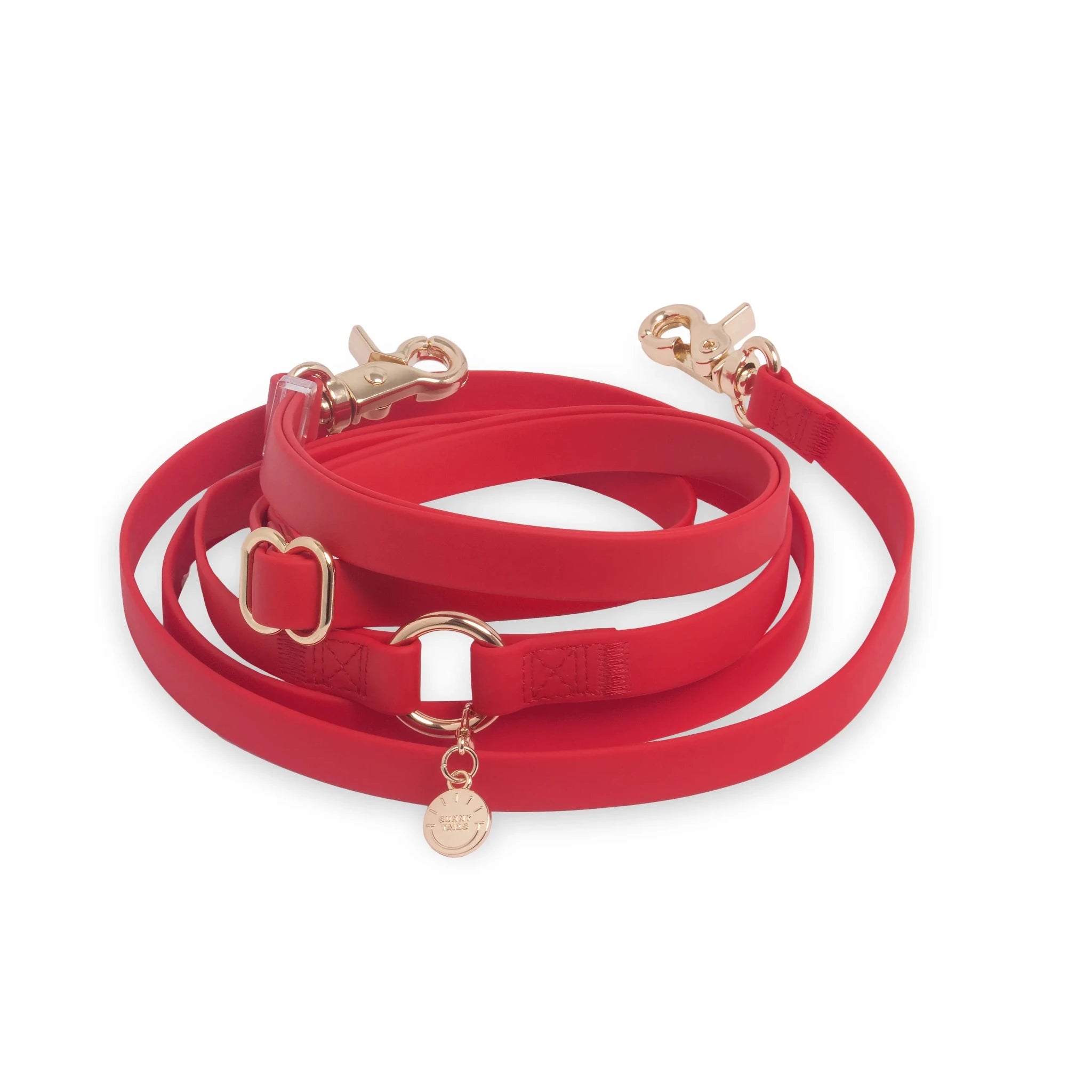 Cloud Hands - Free Dog Leash - Leash & Lift