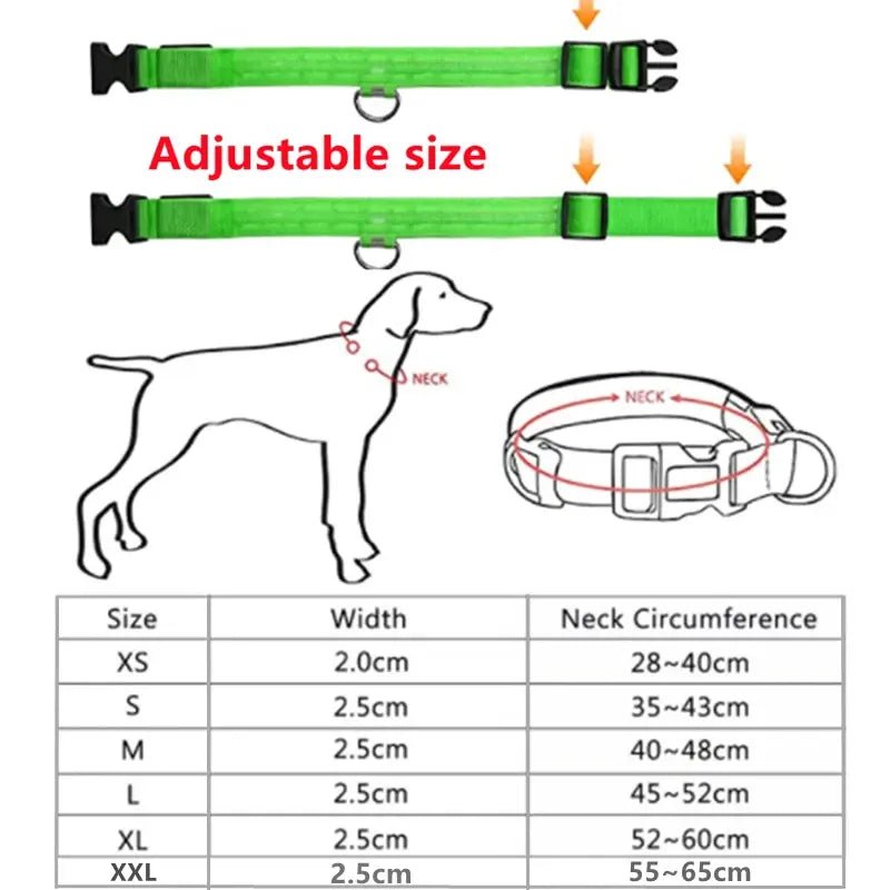 LED Safety Dog Collar - Leash & Lift
