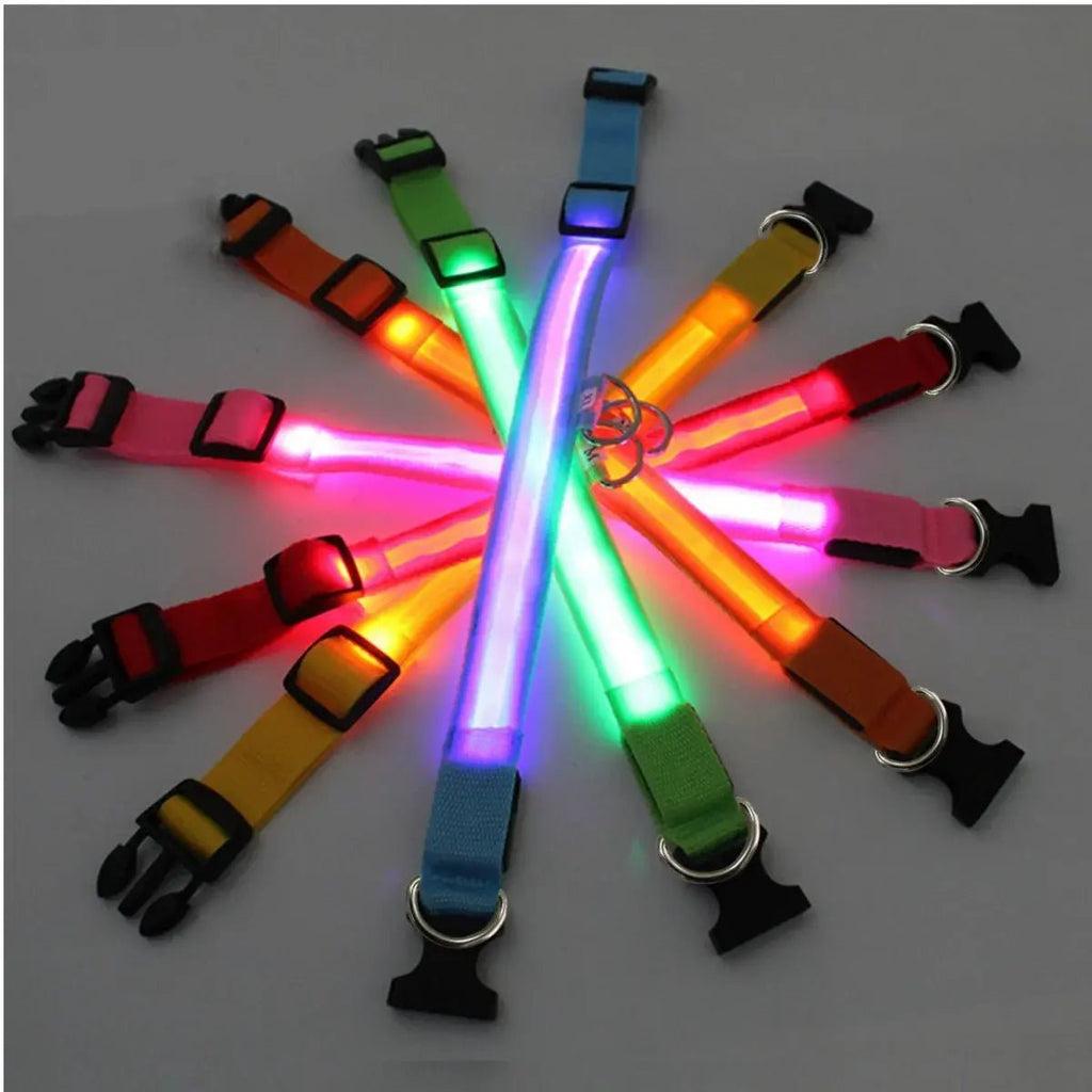 LED Safety Dog Collar - Leash & Lift