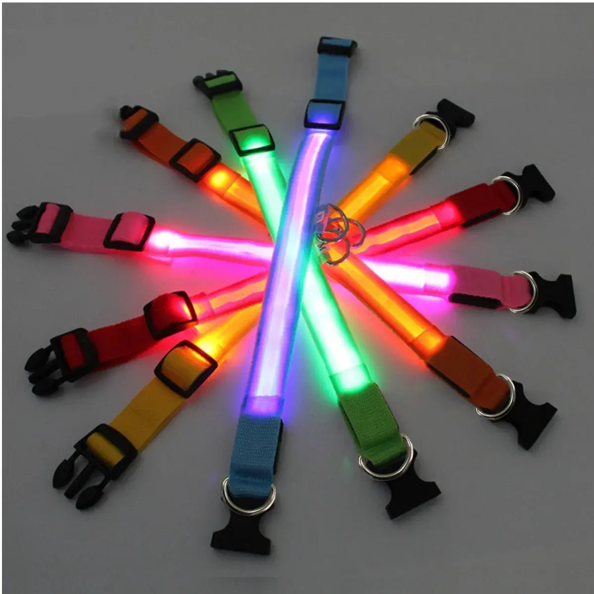 LED Safety Dog Collar - Leash & Lift