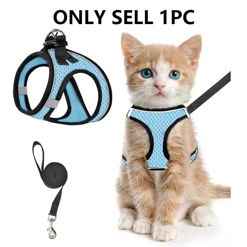 Mesh Harness & Leash Set - Leash & Lift