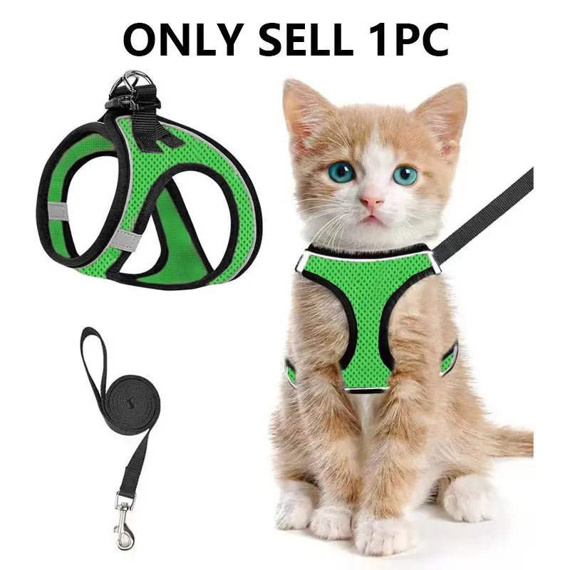 Mesh Harness & Leash Set - Leash & Lift