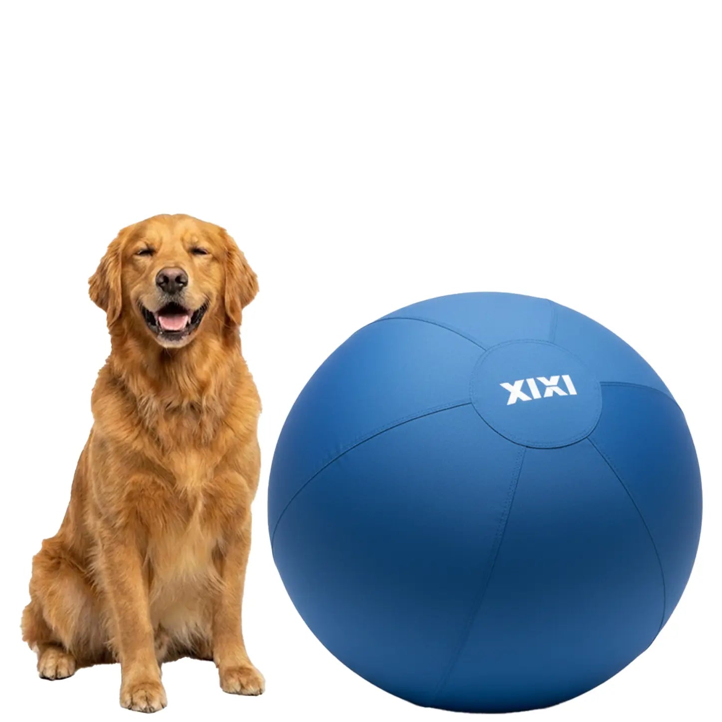 XIXI Inflatable Herding Ball for Dogs - The Ultimate Interactive Toy for High-Energy Breeds