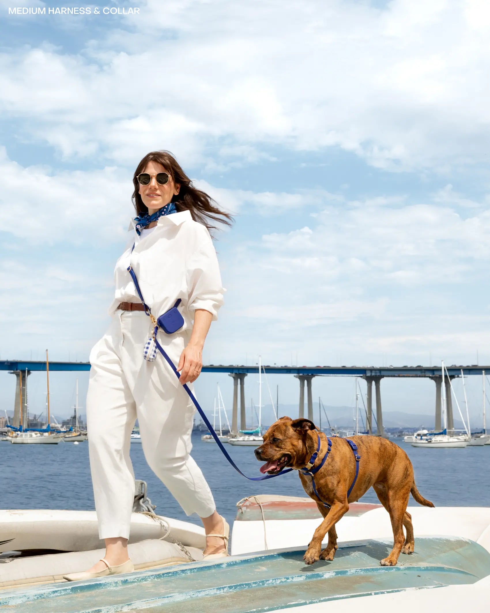 Cloud Hands - Free Dog Leash - Leash & Lift