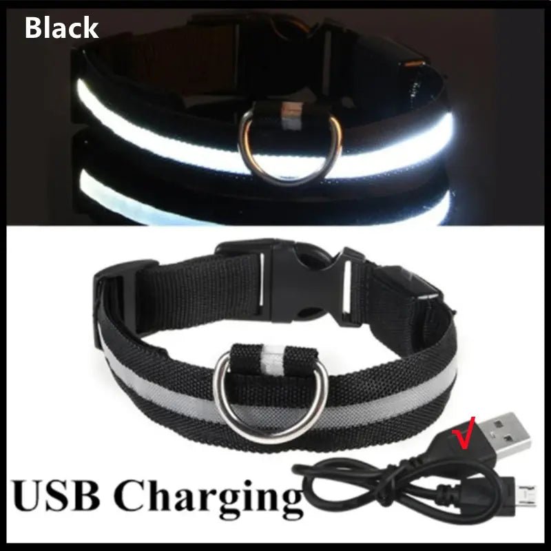 LED Safety Dog Collar - Leash & Lift