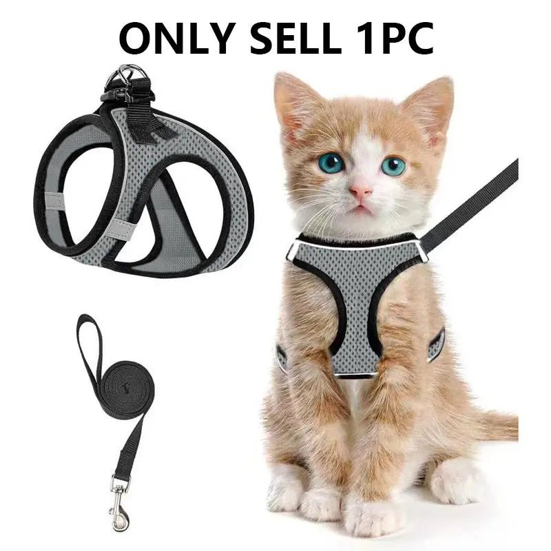 Mesh Harness & Leash Set - Leash & Lift